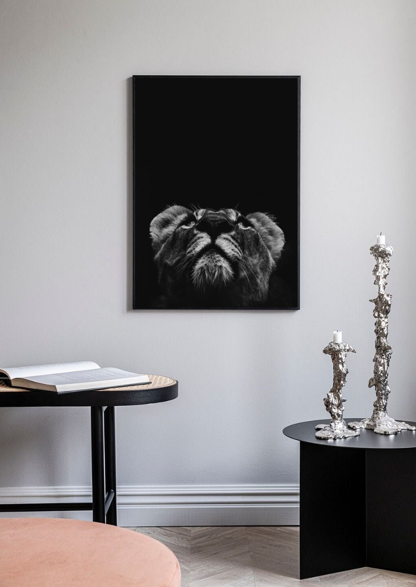 Lioness No2 Poster