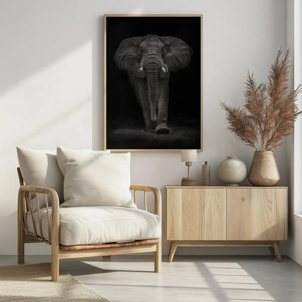 Ngorongoro Bull Poster - 1536744