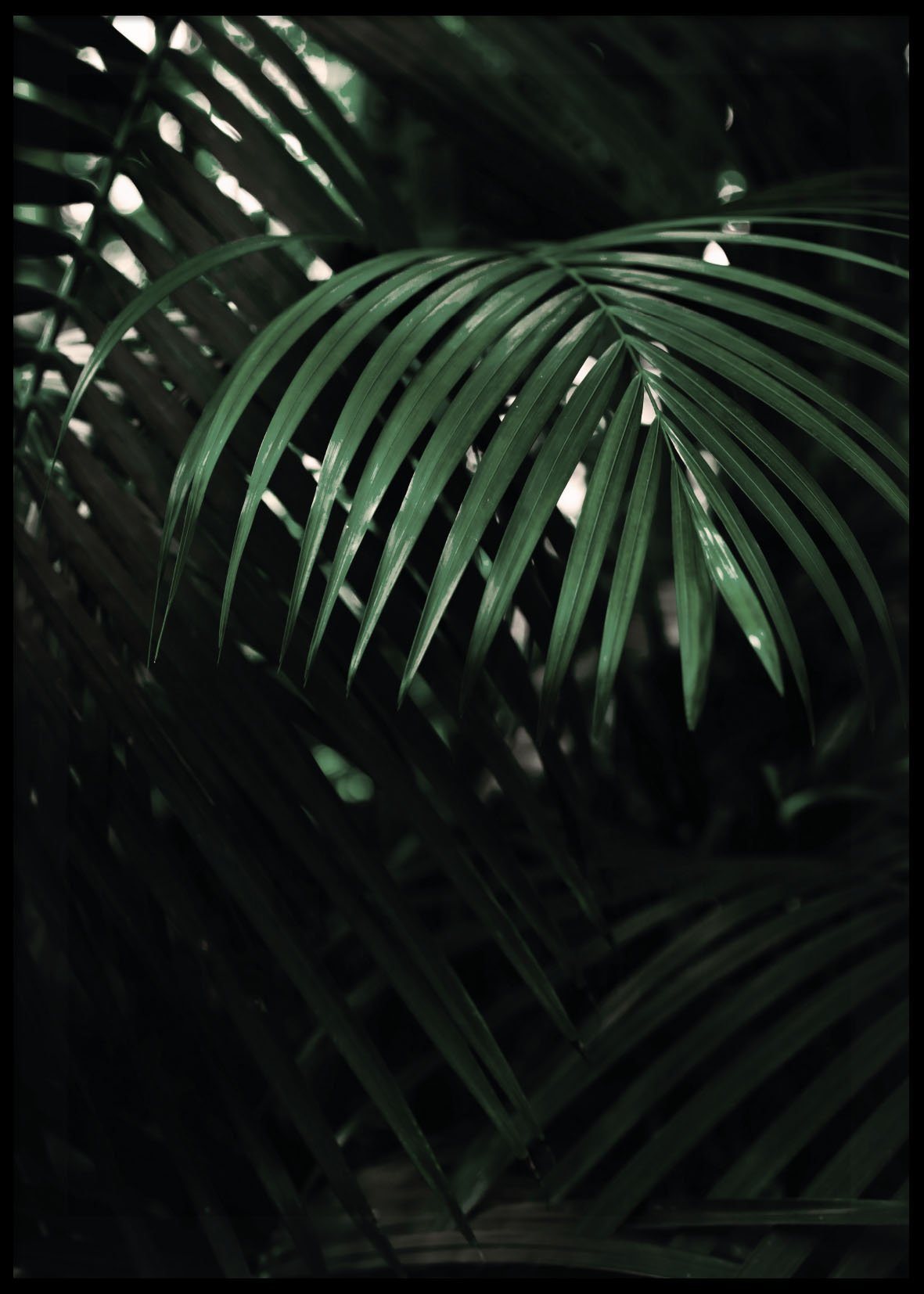 Tropical Leaves Poster