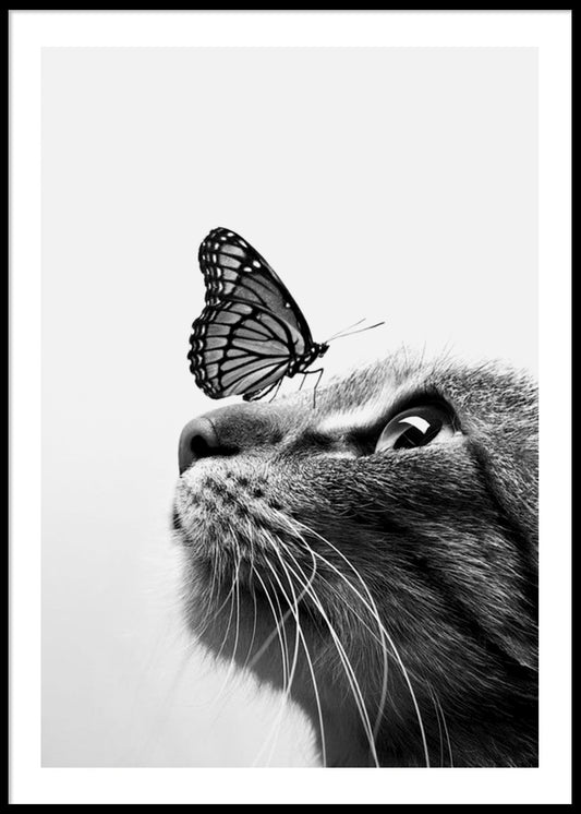 Butterfly Cat Poster