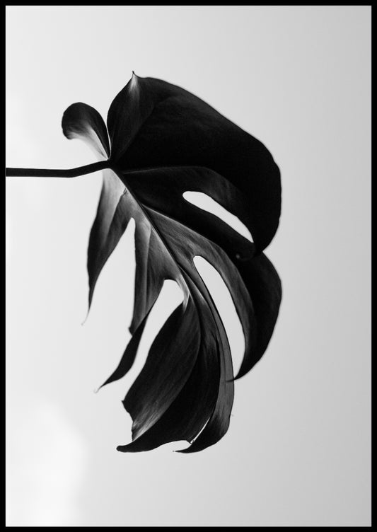 Black Leaves Poster