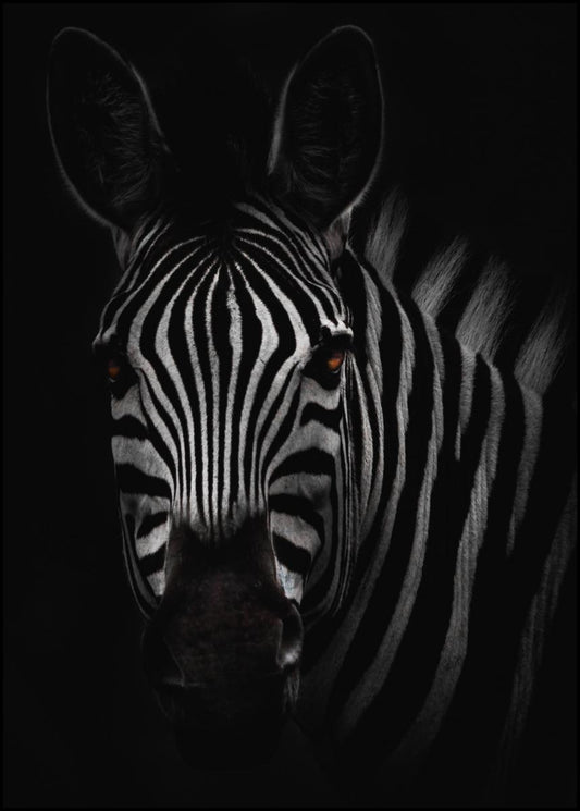 The Zebra Poster