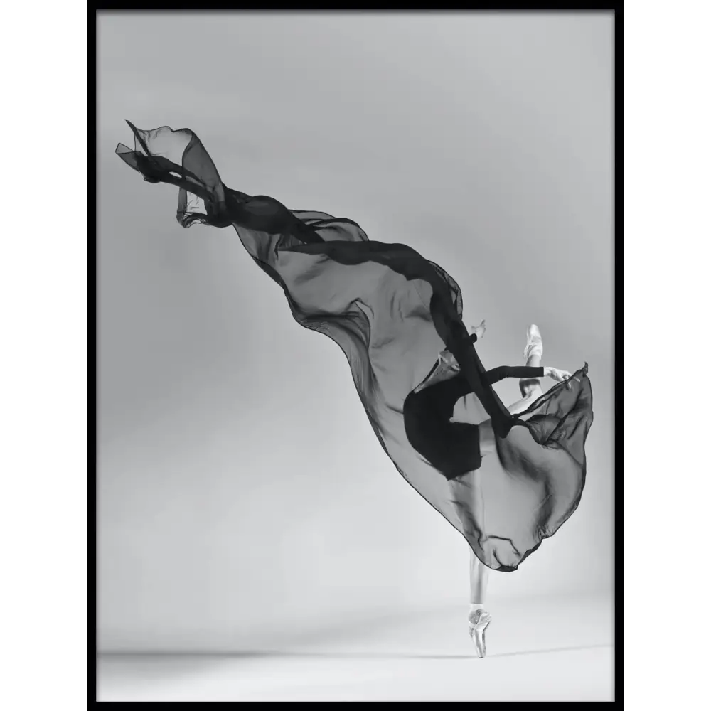 Ballet Dancer Poster