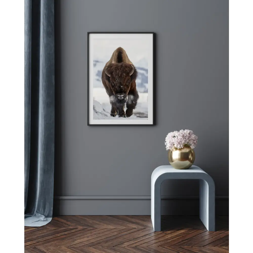 Bison Incoming Poster