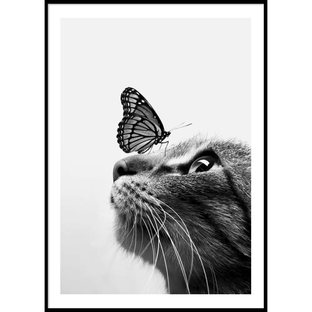 Butterfly Cat Poster