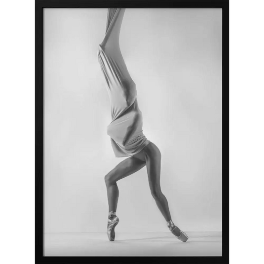 Cocoon Poster - 1254652