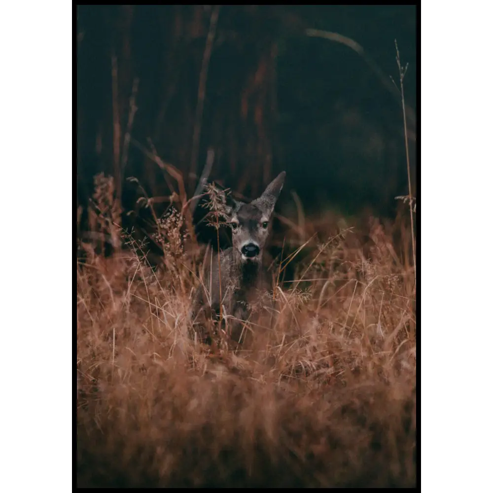 Deer Poster