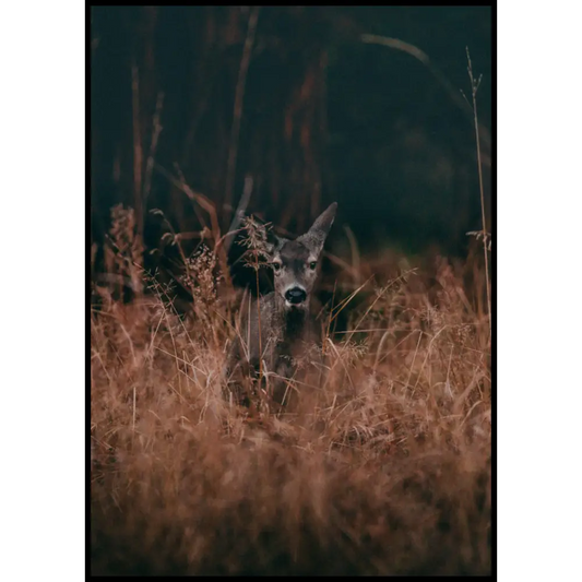 Deer Poster
