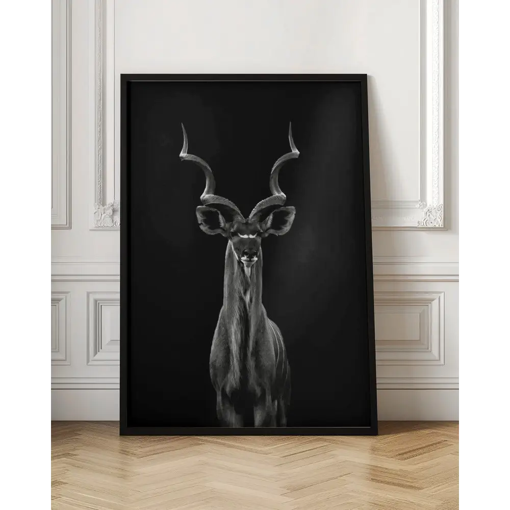 Greater Kudu Poster - 1778475