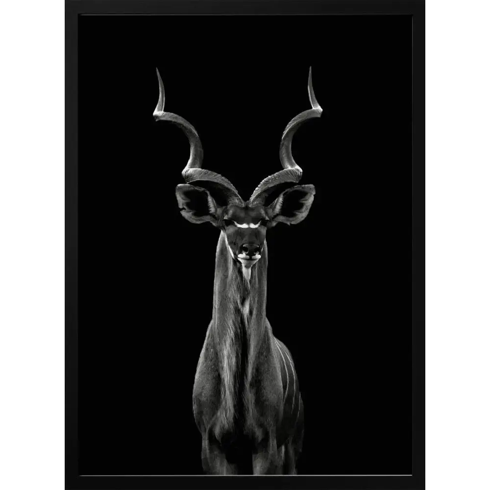 Greater Kudu Poster - 1778475