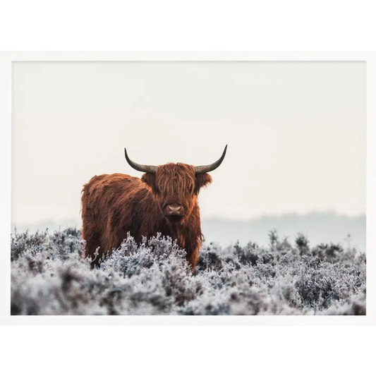 Highlander Poster - 1074865