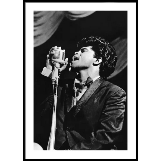 James Brown Poster