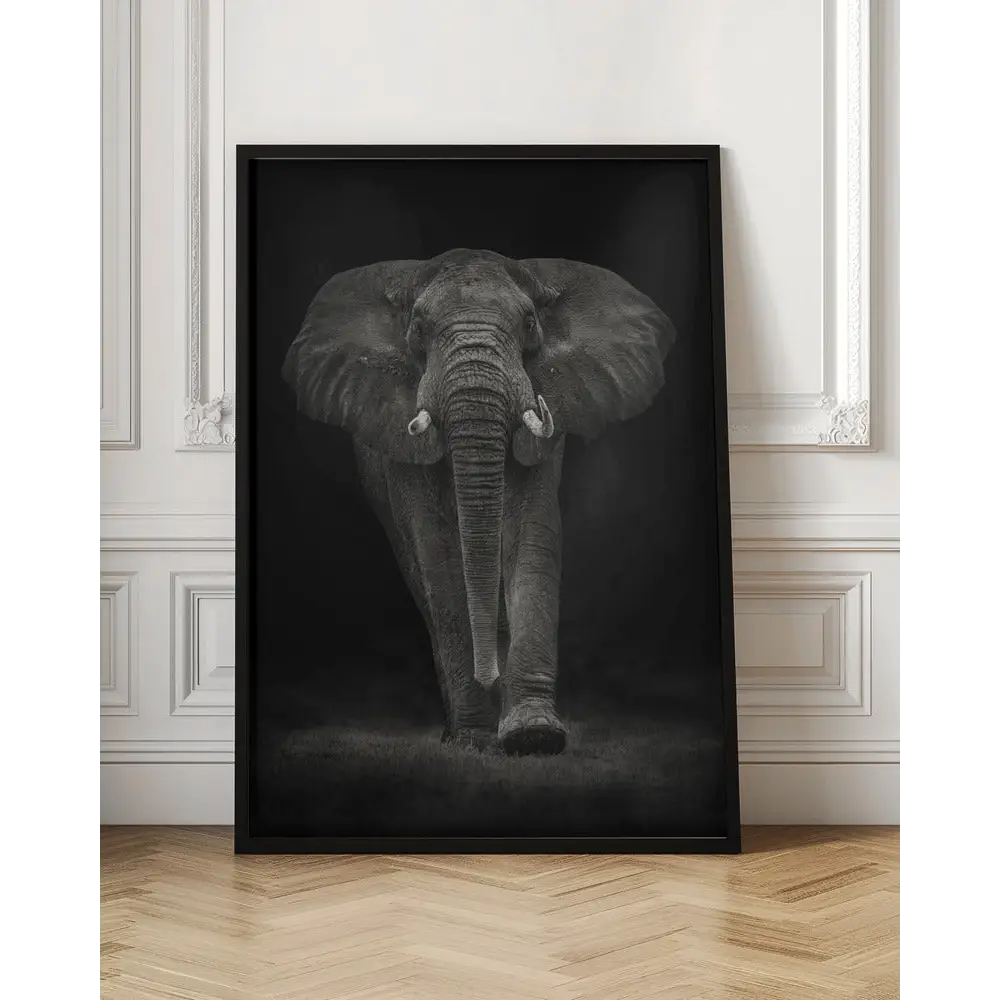 Ngorongoro Bull Poster - 1536744