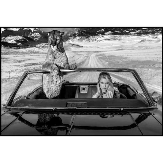 No Country For Old Men Poster