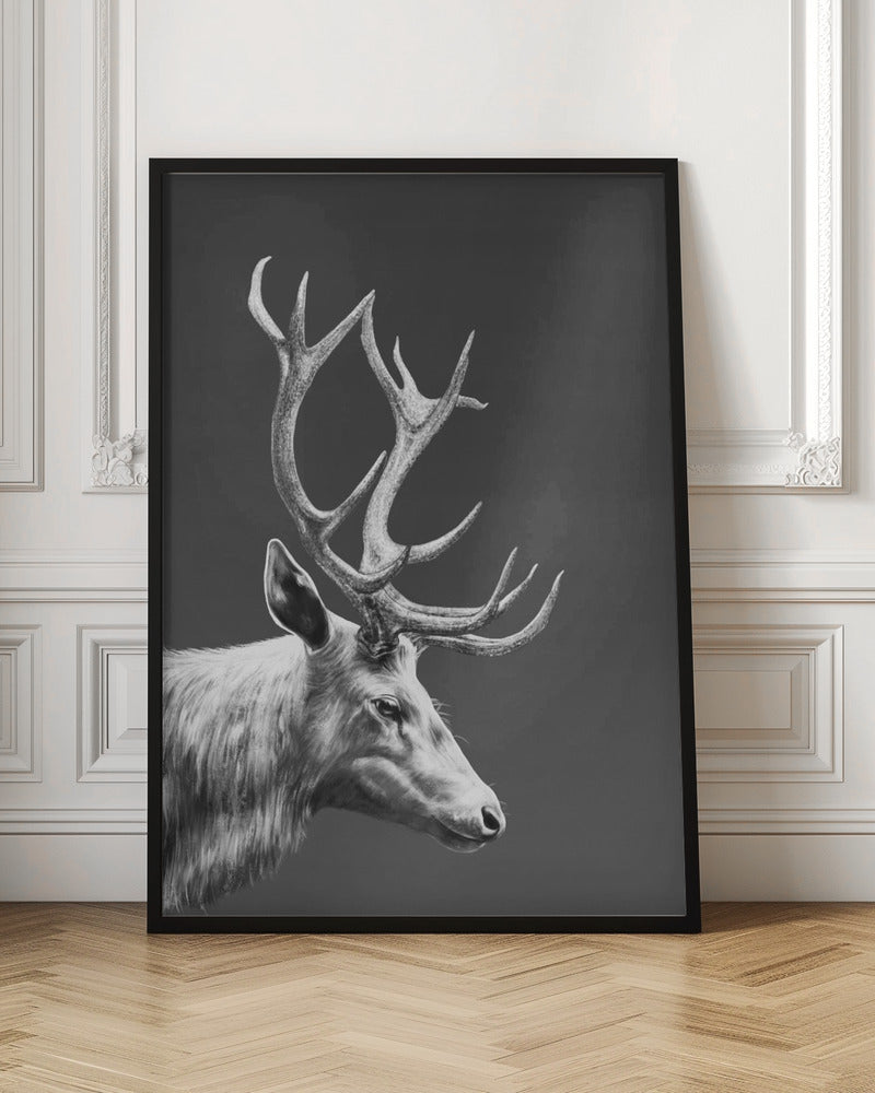 Reindeer Poster