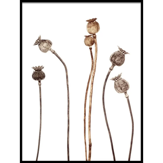Poppies Poster