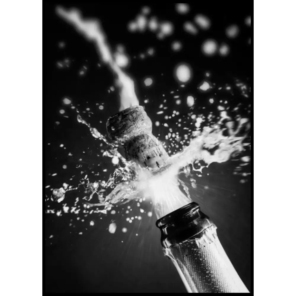 Raining Champagne Poster