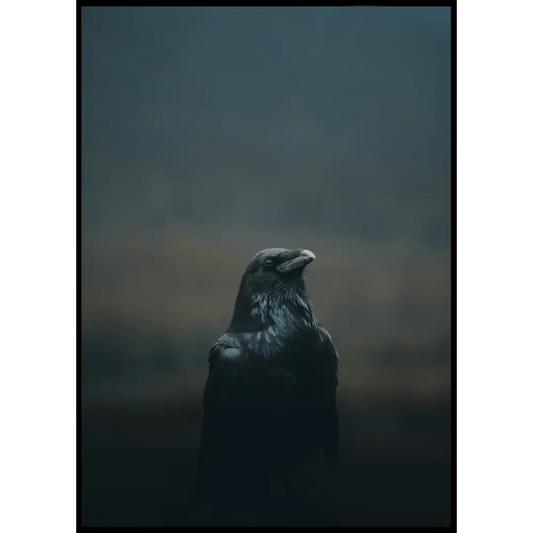 Raven Poster