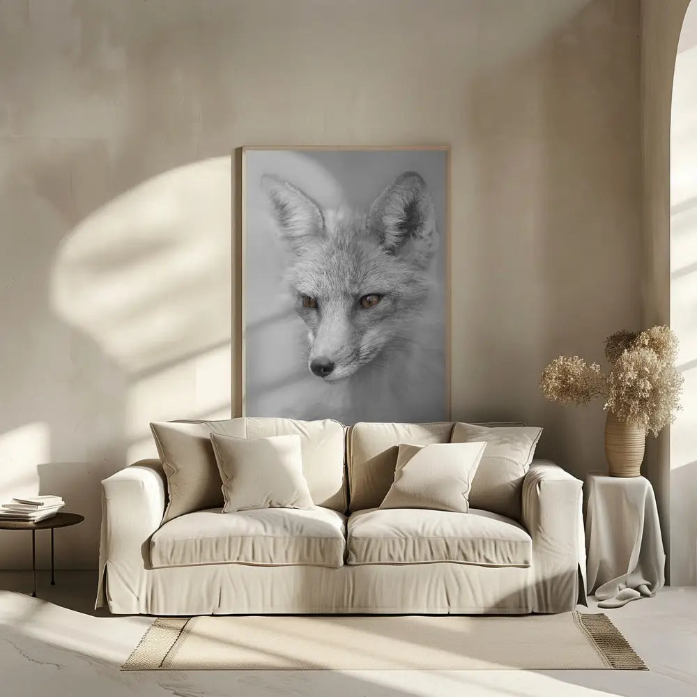 Red Fox Portrait Poster - 2073822