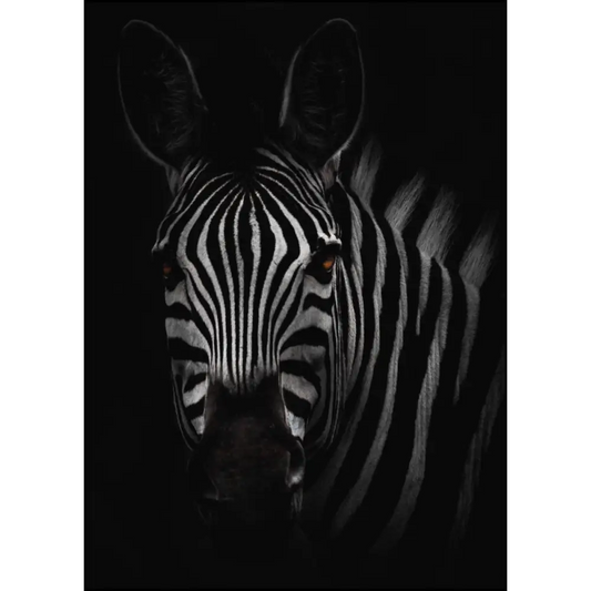 The Zebra Poster