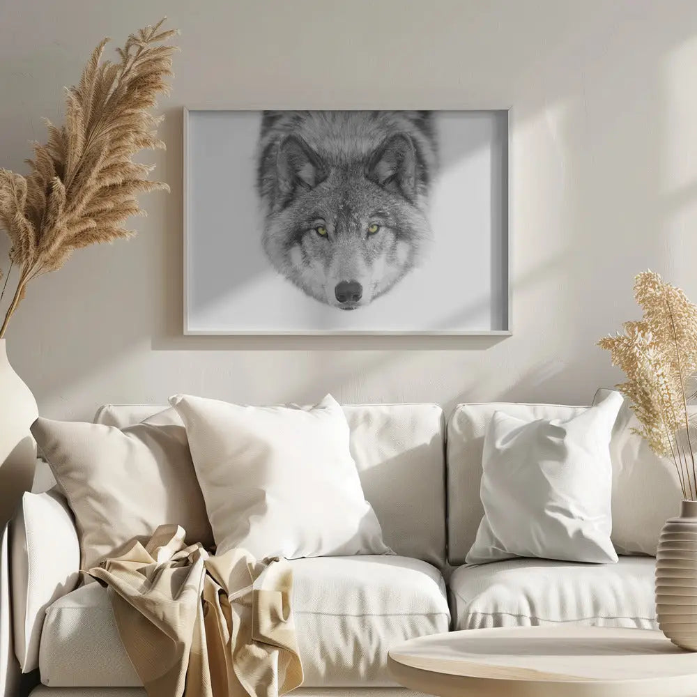 Timber Wolf No2 Poster - 1636478