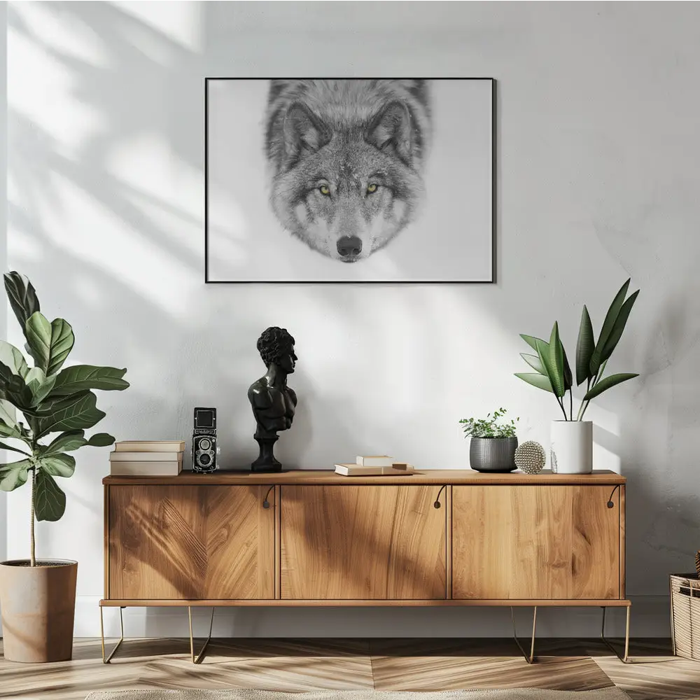 Timber Wolf No2 Poster - 1636478