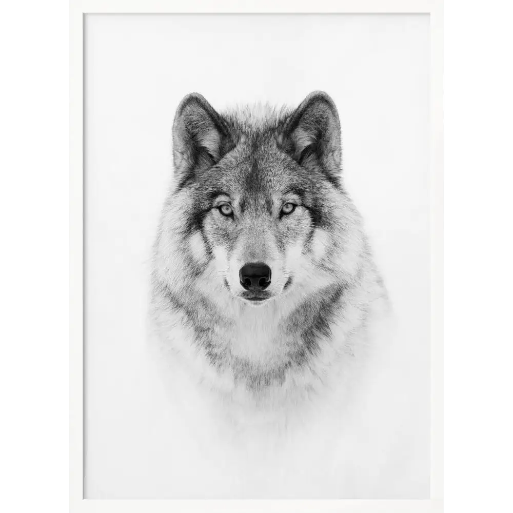Timber Wolf Poster - 1226806