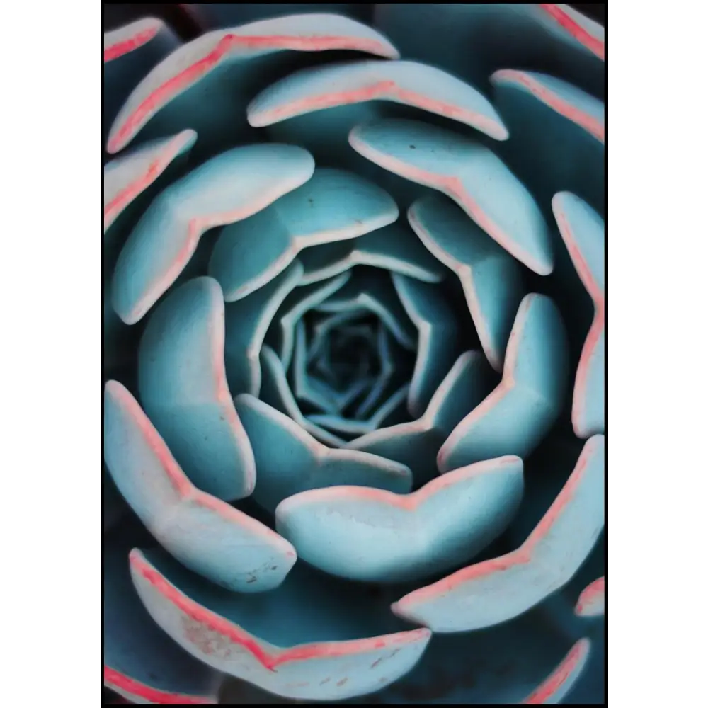 Zoomed Flower Poster